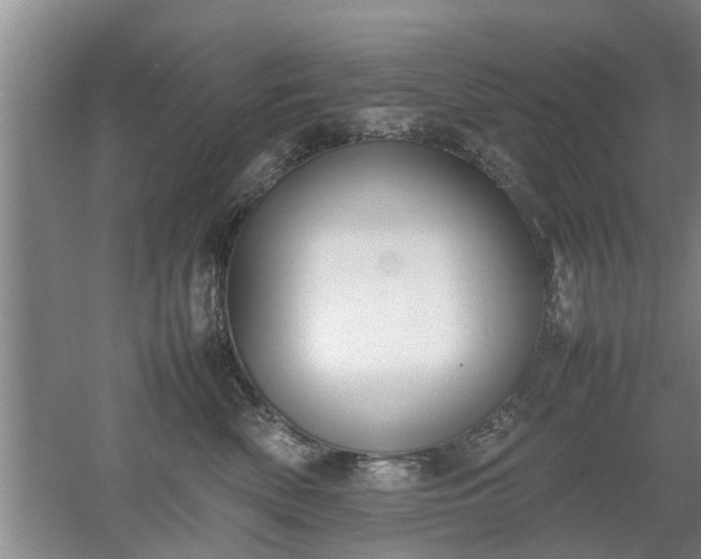 X0000053010522200507151951