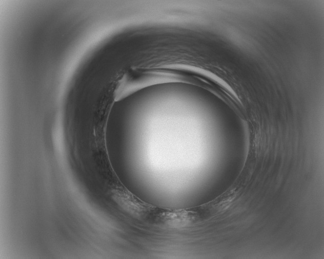 X0000053010524200507151951