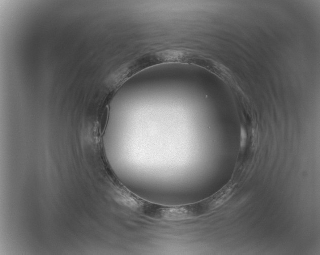 X0000053010525200507151951