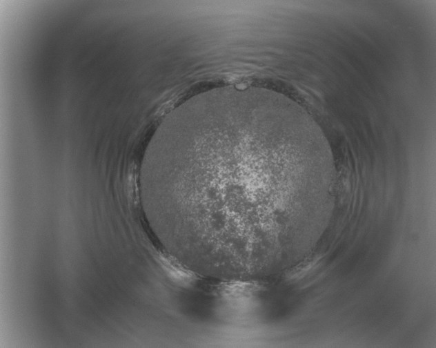 X0000053010527200507151951