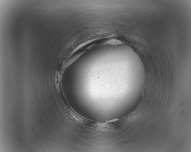 X0000053010528200507151951