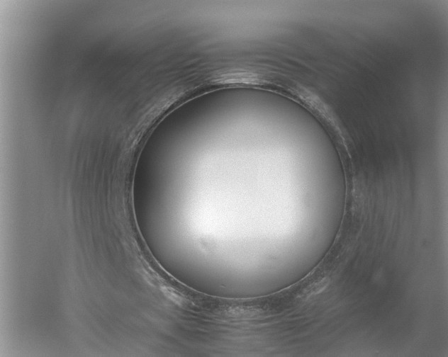 X0000053010529200507151950