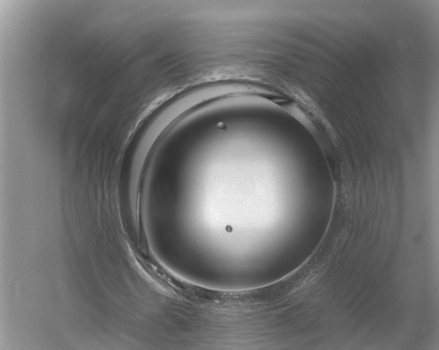 X0000053010530200507151950