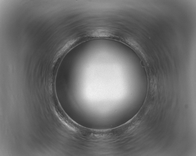 X0000053010533200507151950