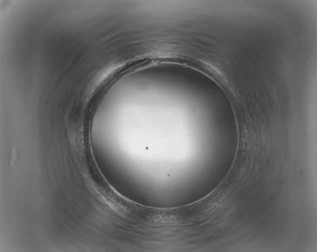 X0000053010535200507151950