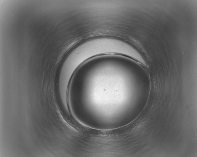 X0000053010538200507151950