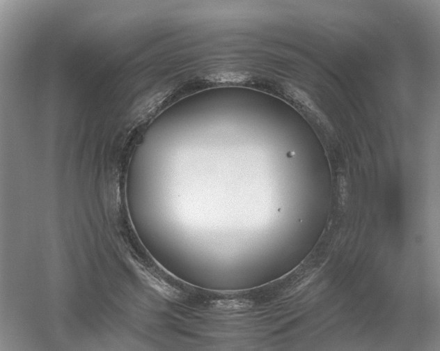 X0000053010541200507151950