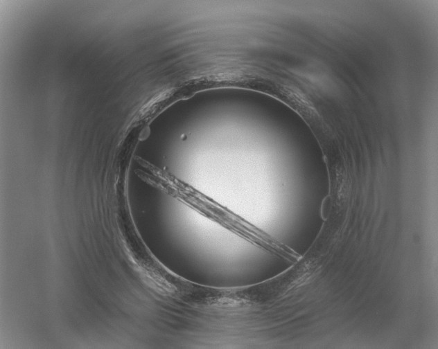 X0000053010542200507151950