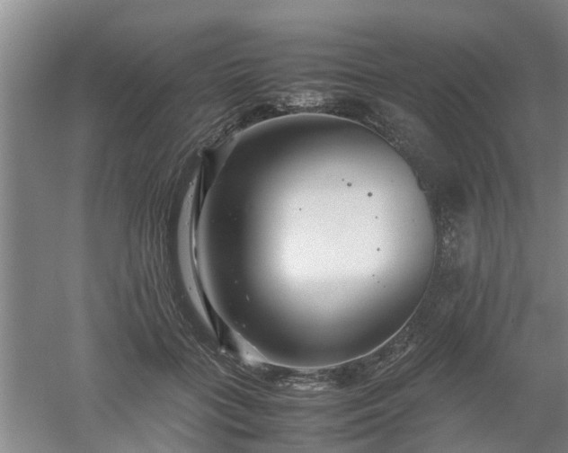 X0000053010555200507151950