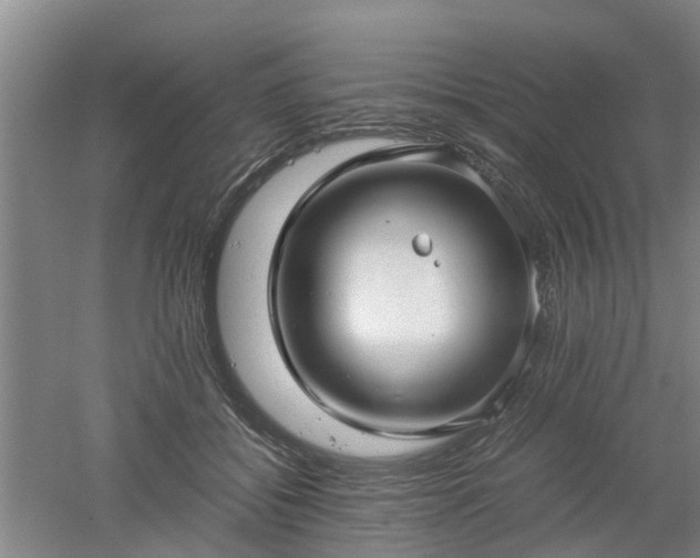 X0000053010556200507151950