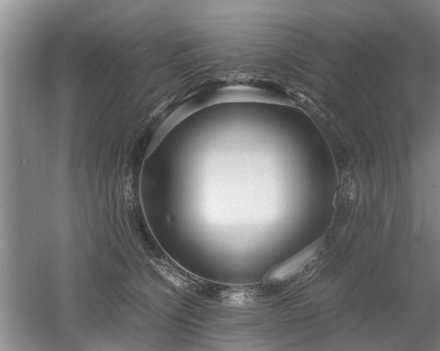 X0000053010564200507151950