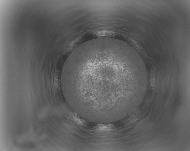 X0000053010569200507151951