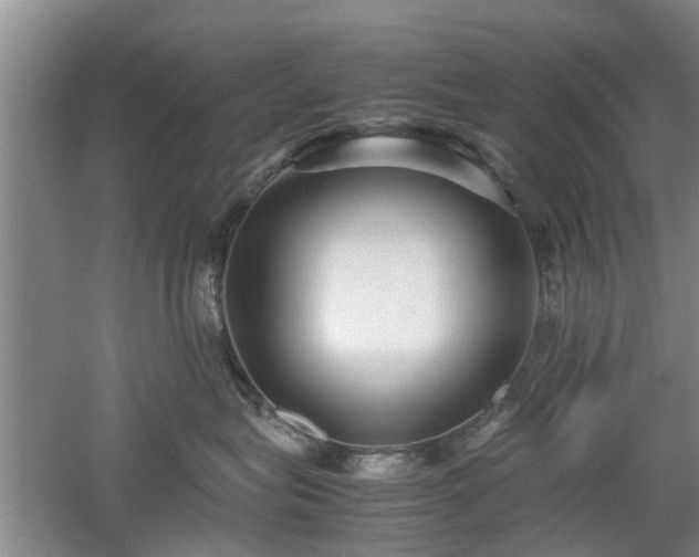 X0000053010575200507151951