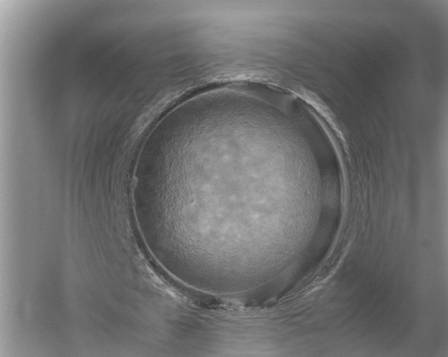 X0000053010577200507151950