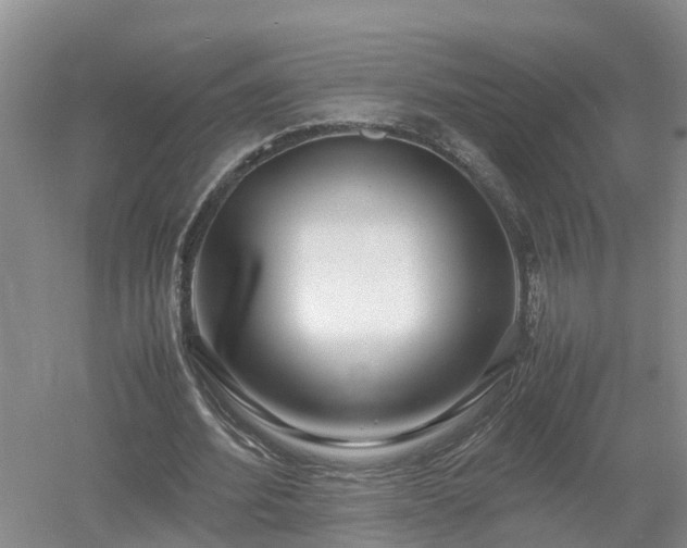 X0000053010580200507151950