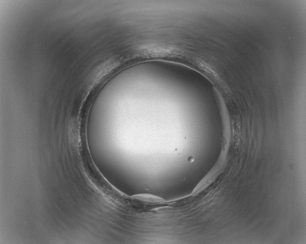 X0000053010582200507151950