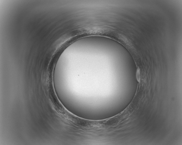 X0000053010583200507151950