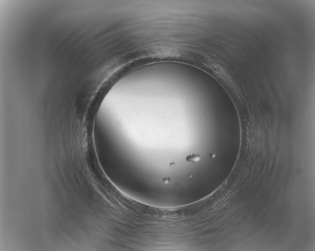 X0000053010584200507151950