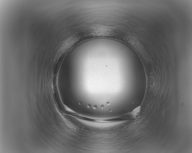 X0000053010586200507151950