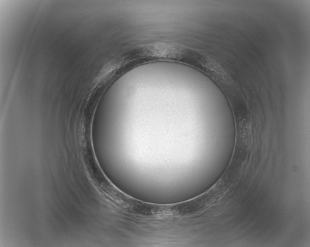 X0000053010587200507151950