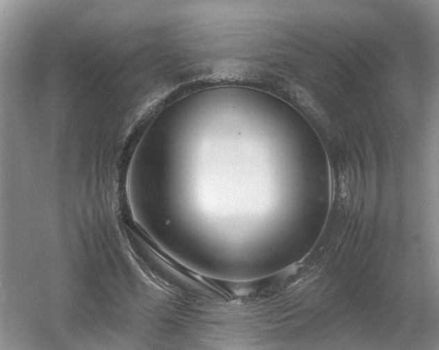 X0000053010588200507151950