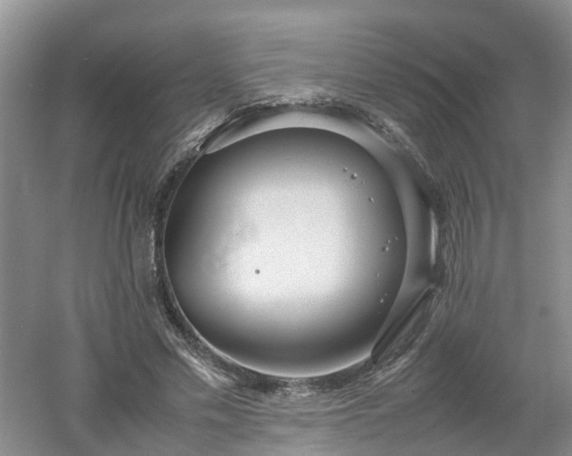 X0000053010589200507151950