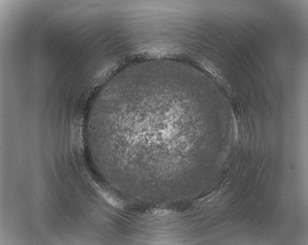 X0000053010590200507151950