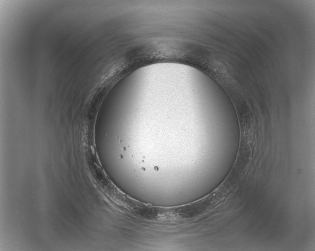 X0000053010591200507151950