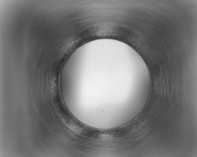 X0000053010592200507151950