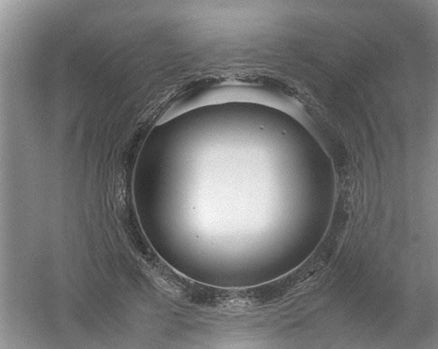 X0000053010593200507151950