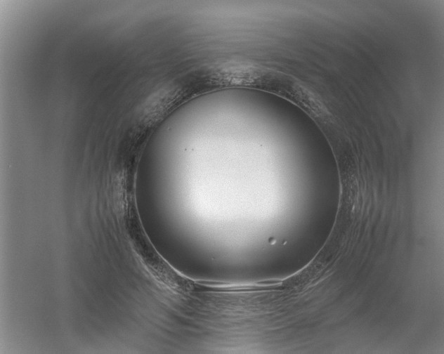 X0000053010594200507151950