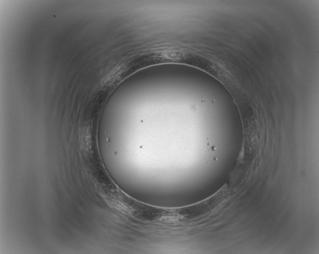 X0000053010595200507151950