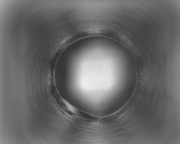 X0000053010596200507151950