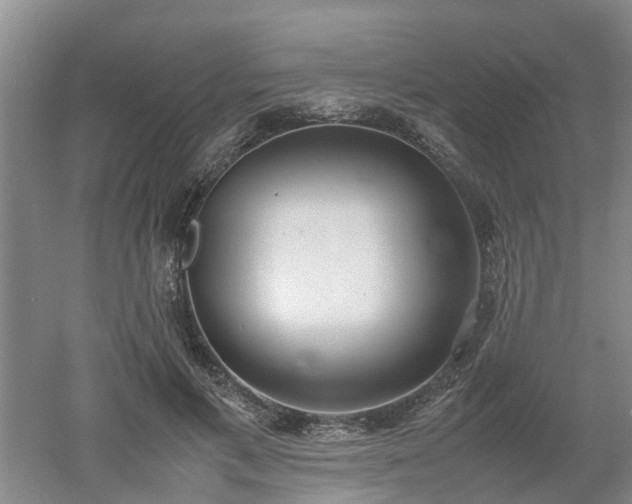 X0000053010597200507151950