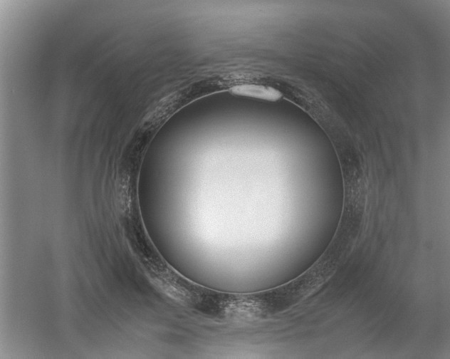 X0000053010599200507151949