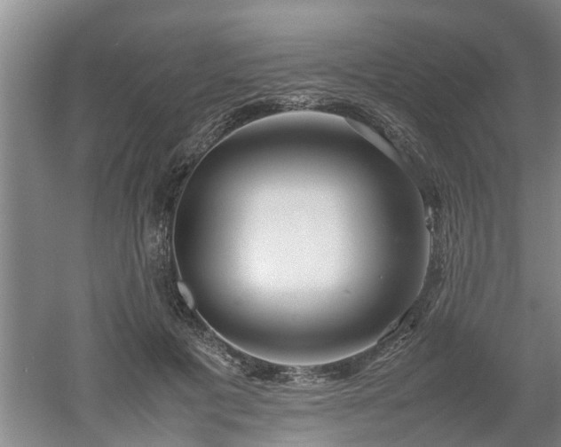 X0000053010601200507151949