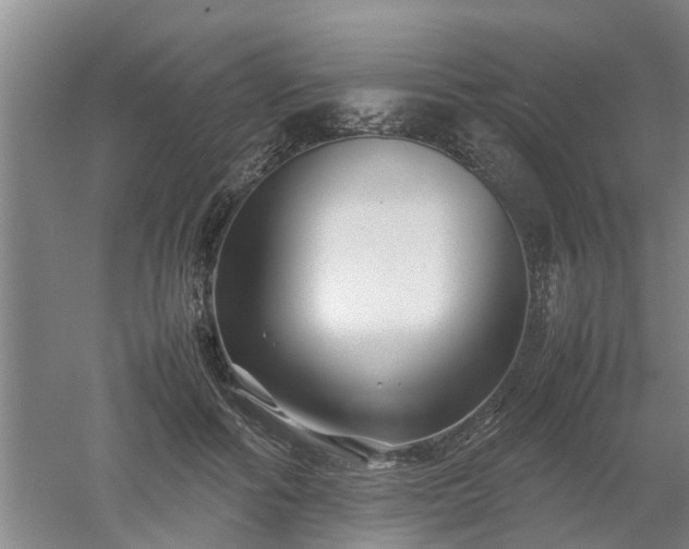 X0000053010602200507151949