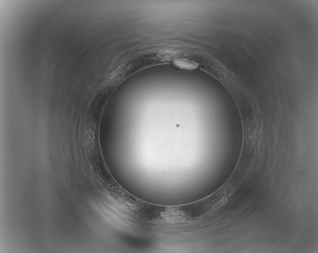 X0000053010603200507151949