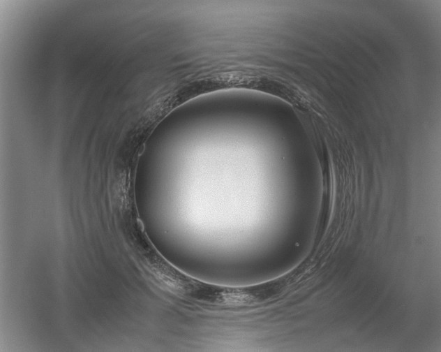 X0000053010605200507151949