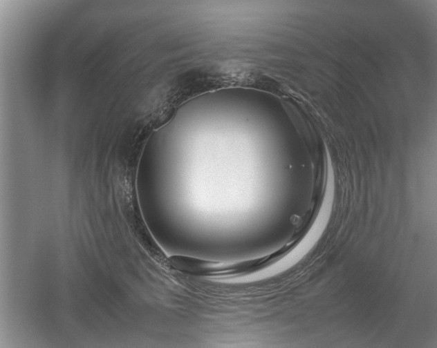 X0000053010613200507151949