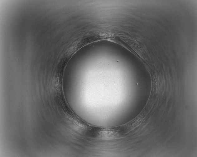 X0000053010614200507151949