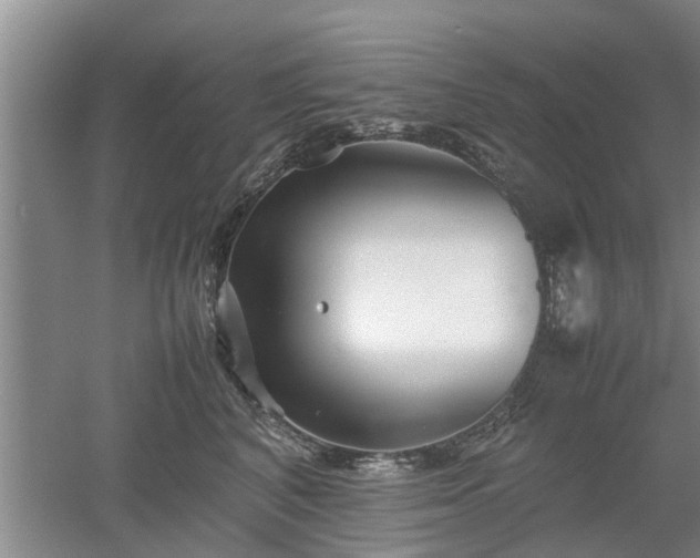 X0000053010616200507151949