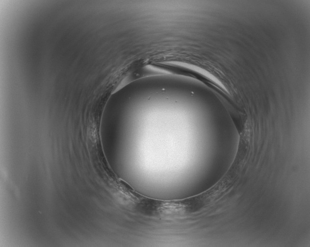 X0000053010617200507151949