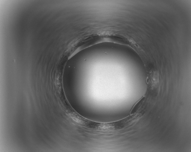 X0000053010619200507151949