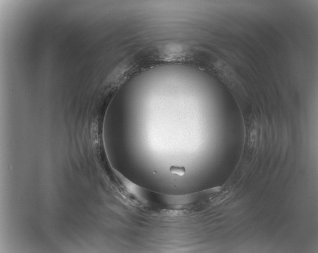 X0000053010620200507151949