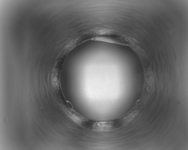 X0000053010622200507151949