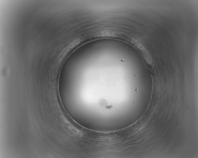 X0000053010625200507151948