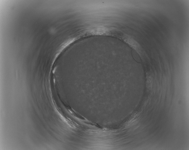 X0000053010626200507151948