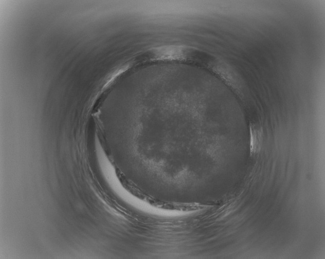 X0000053010627200507151948