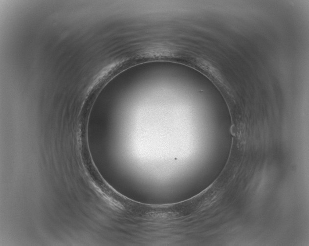 X0000053010629200507151948